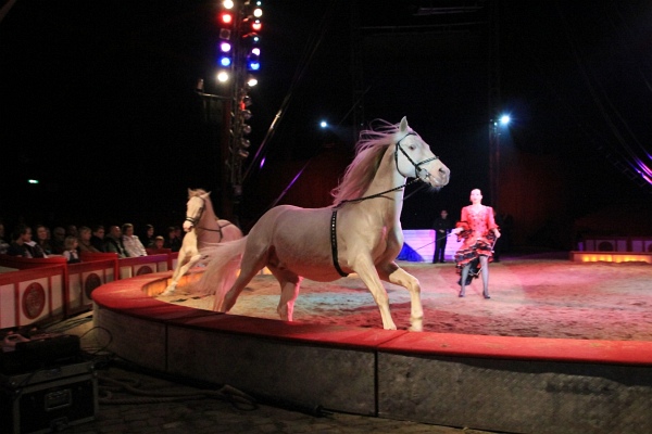 Krone2011   088.jpg